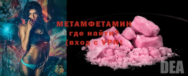 гидра Горняк