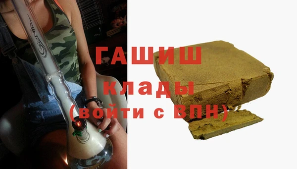 гидра Горняк