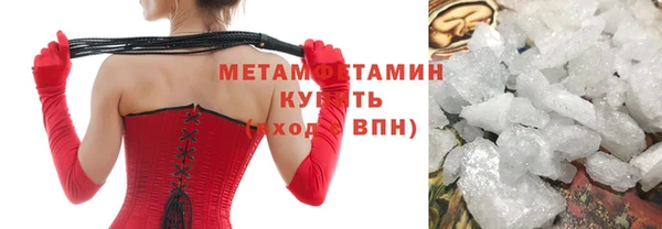 гидра Горняк