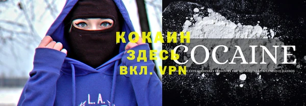 шишки Вязьма