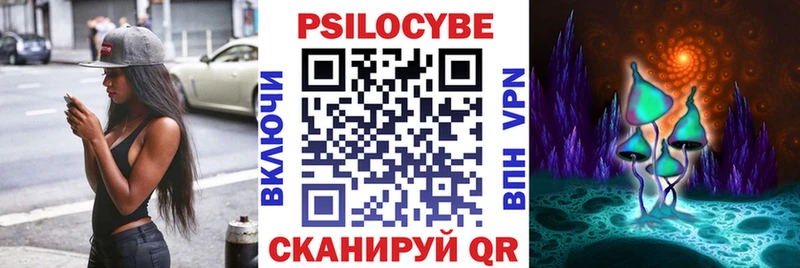 Купить закладки  Северск  Галлюциногенные грибы MAGIC MUSHROOMS 